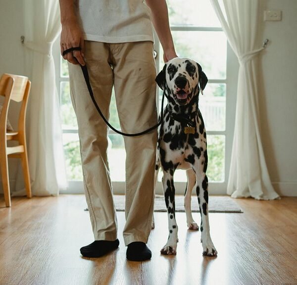 caller complaint notes and alerts for 8852562123558