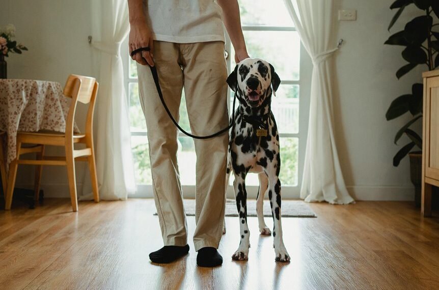 caller complaint notes and alerts for 8852562123558