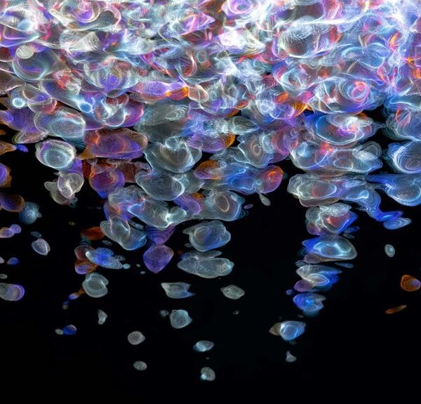 fusion beam digital flow 2130062244