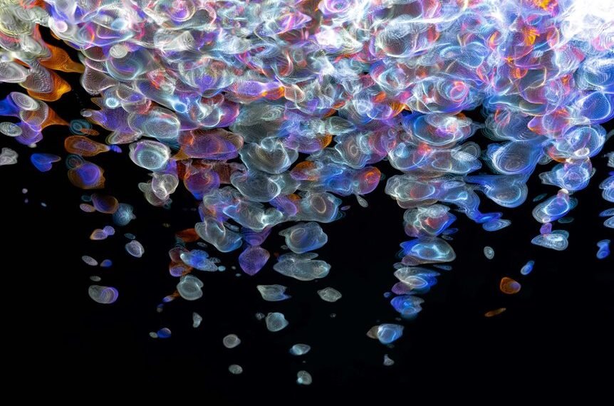 fusion beam digital flow 2130062244