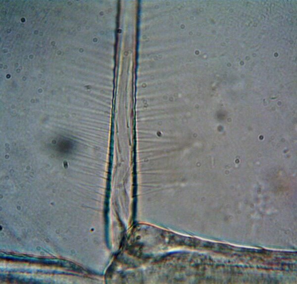 future ready competitive landscape analysis