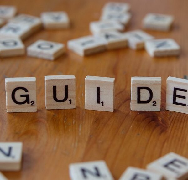 a beginner s guide tuedshan