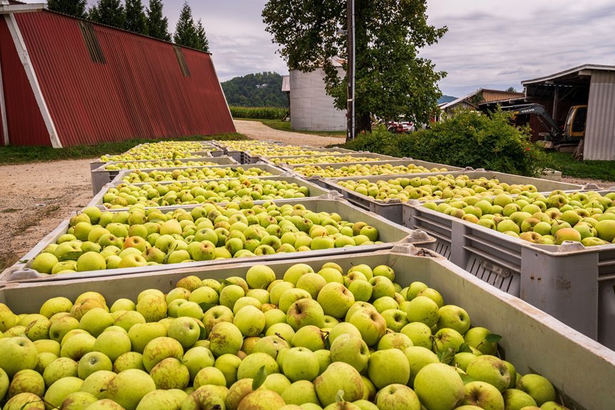 a complete guide to travelling apples