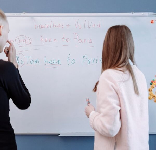 guided introduction to vantinkyouzi