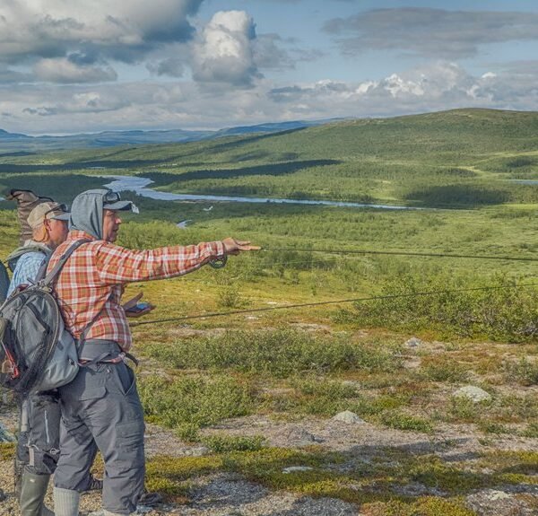the ultimate guide highlights experts